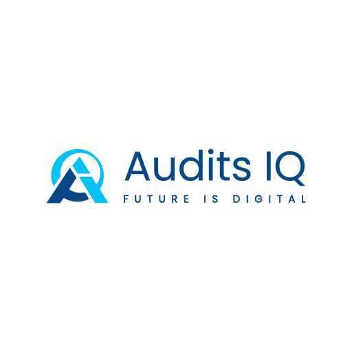 Read more about the article Audits IQ